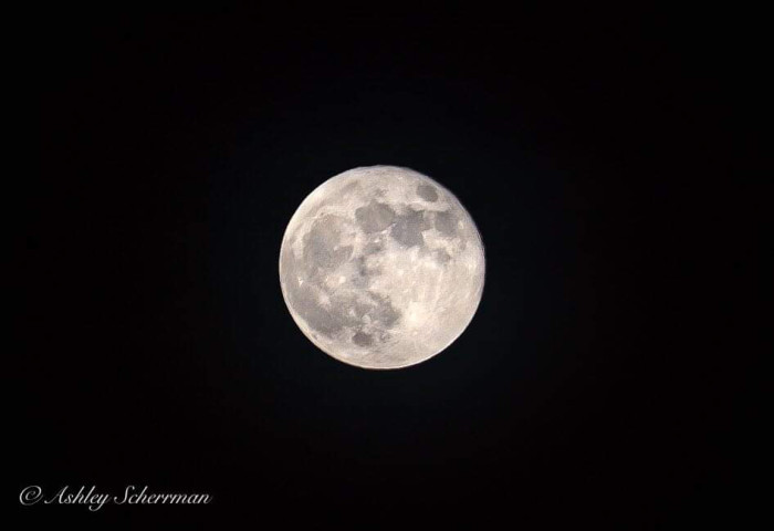 Forest Bathing with the Harvest Full Moon