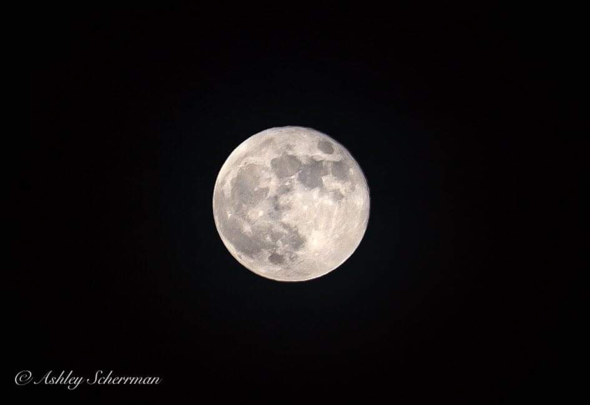 Forest Bathing with the Harvest Full Moon