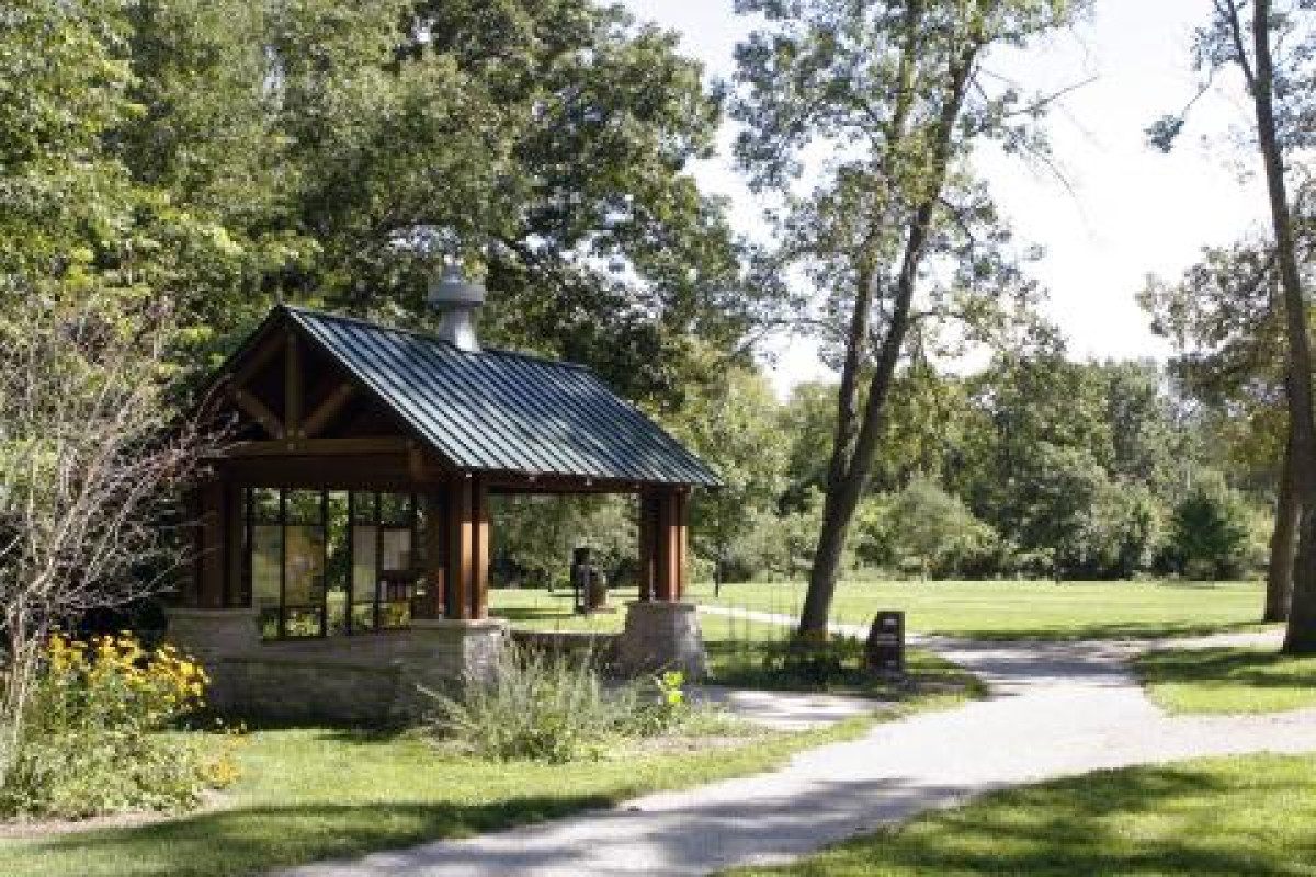 Nature + Forest Therapy at Hickory Hill Park